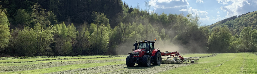 Mit Metti ins Gr&uuml;ne