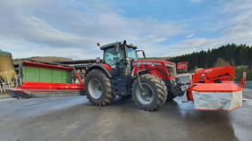 Schmetterling mit Aufbereiter